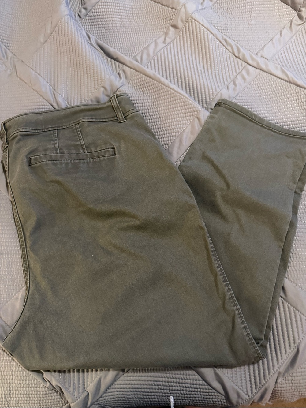 Market & Spruce Straight-Leg Jeans in Olive